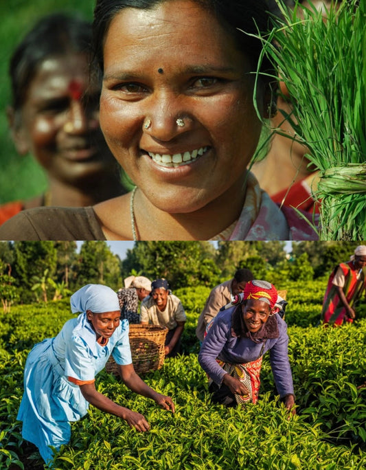 Comptoir BantuDesi to Join Paris Tea Festival, Honoring Women Tea Farmers from Africa & India